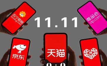 双11调查报告500字5篇