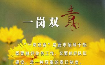 一岗双责的述职报告8篇
