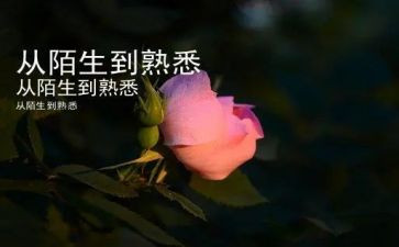 作文我最熟悉的人500字作文8篇