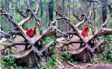 天池写景作文5篇