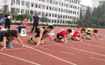 校田径运动会活动总结8篇