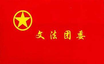 局团委工作总结通用8篇