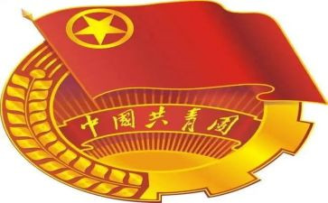 大学生团组织生活发言稿5篇