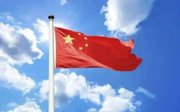 伟大的蚂蚁作文5篇