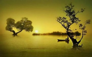 微感悟心得体会参考8篇