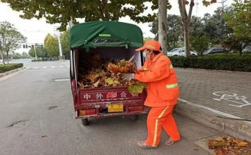 爱国卫工作计划5篇