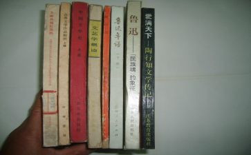 2024年小学语文教师培训总结参考8篇