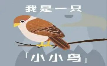 《小鸟》读后感5篇