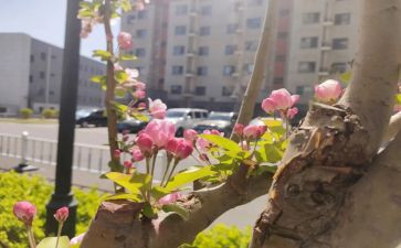 我在变作文800字初中作文参考6篇