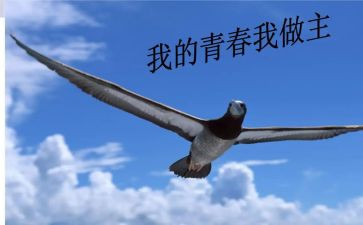 我人生我做主的作文推荐5篇