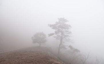 如梦似幻的雾作文7篇