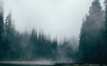 大班科学雾和霾教学反思7篇
