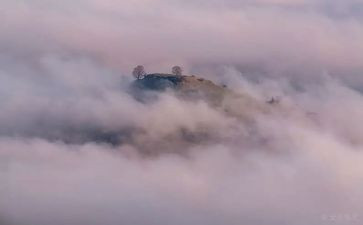 神秘的雾作文优质7篇