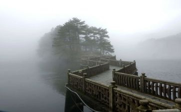 神秘的雾作文推荐5篇