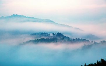 神秘的雾作文5篇