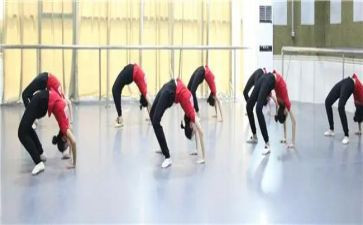 舞蹈教师个人总结参考8篇
