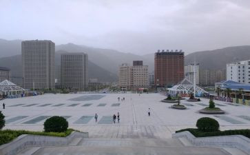 武都区市场调查报告模板最新7篇