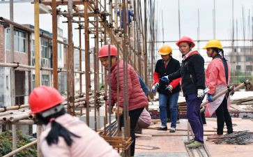 园务工作计划总结报告优秀7篇