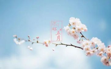 五月份工作计划6篇