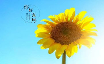 五月份小班工作总结6篇