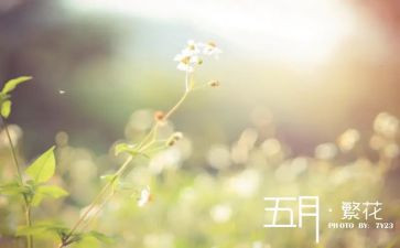 五月份工作计划最新8篇