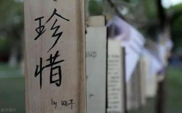 写珍惜粮食的演讲稿6篇