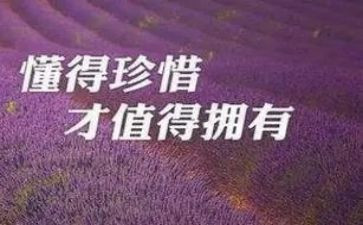 珍惜资源保护环境作文7篇