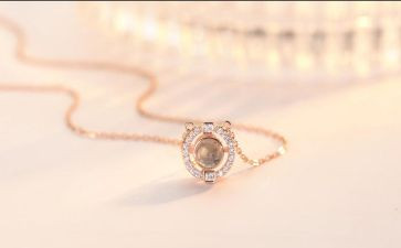 项链500字读后感6篇