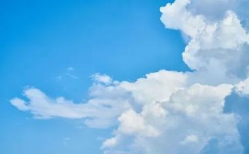 骆驼祥子8的读后感模板5篇