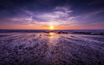 骆驼祥子8的读后感5篇