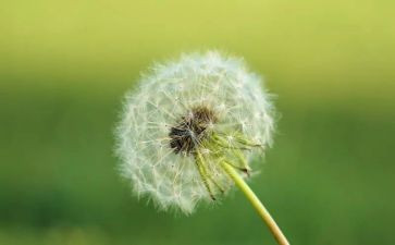 骆驼祥子100字读后感7篇