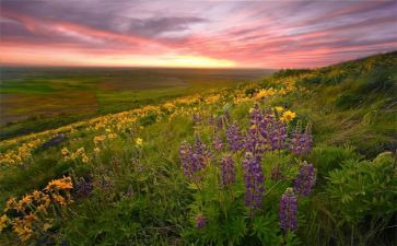 藤野先生读后感7篇