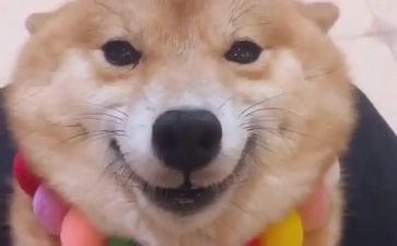 面对微笑演讲稿通用7篇