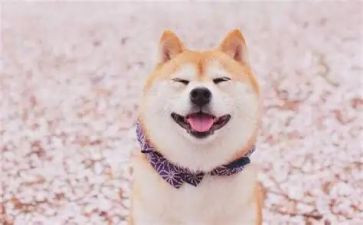 微笑的演讲稿优秀6篇