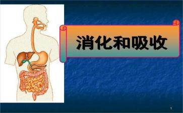 消化科的个人总结6篇