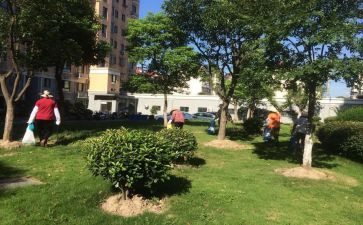 小区物业年度总结报告8篇