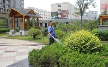小区物业防汛工作总结8篇