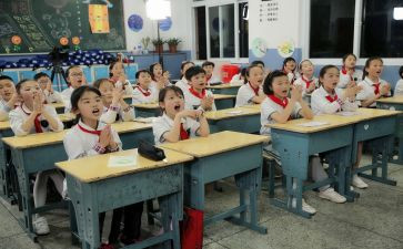 调查报告小学作文8篇