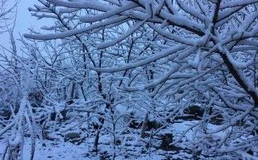 下雪天防滑教案6篇