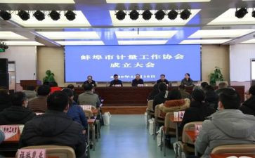 协会工作总结和计划8篇