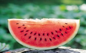 种西瓜作文模板5篇