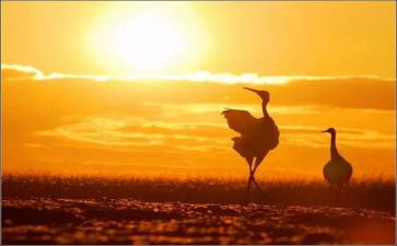 心灵的独白作文8篇