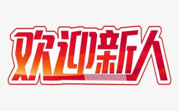 新人到年度工作计划5篇