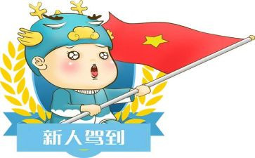 新人进公司工作总结优质5篇