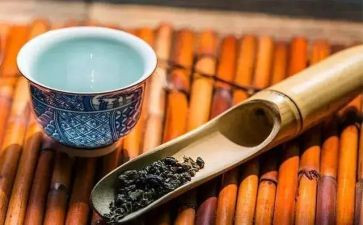 个人修养的作文最新8篇