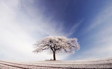 物业公司除雪工作计划参考7篇