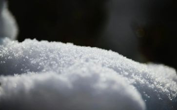 有关雪演讲稿通用8篇
