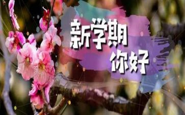 学期班个人学期总结优质8篇