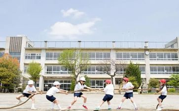 学生军训总结报告优质5篇