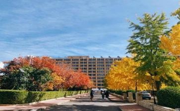 学校学校校长述职报告模板5篇